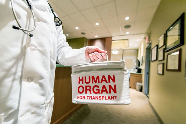 Doctor holding up a bag that says "Human Organ for Transplant."