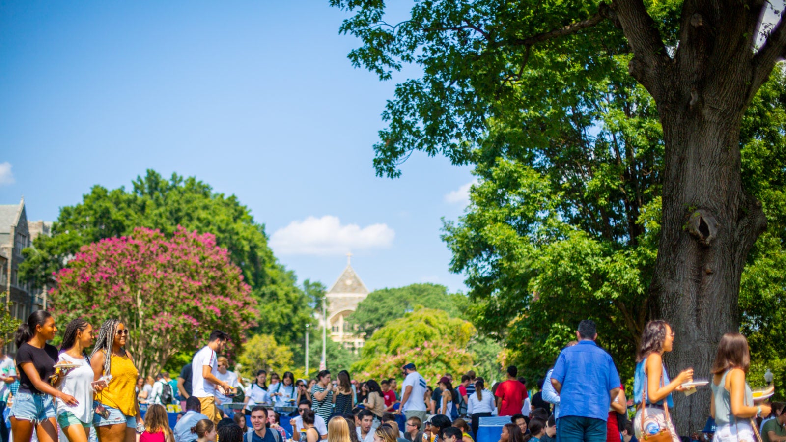 Students are gathered on Copley Lawn.