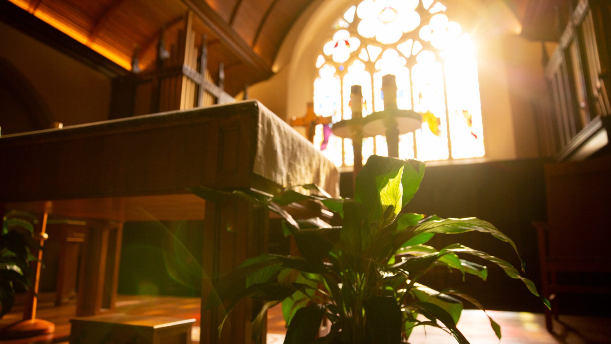 A ray of light shines through a large window in the Dahlgren Chapel.