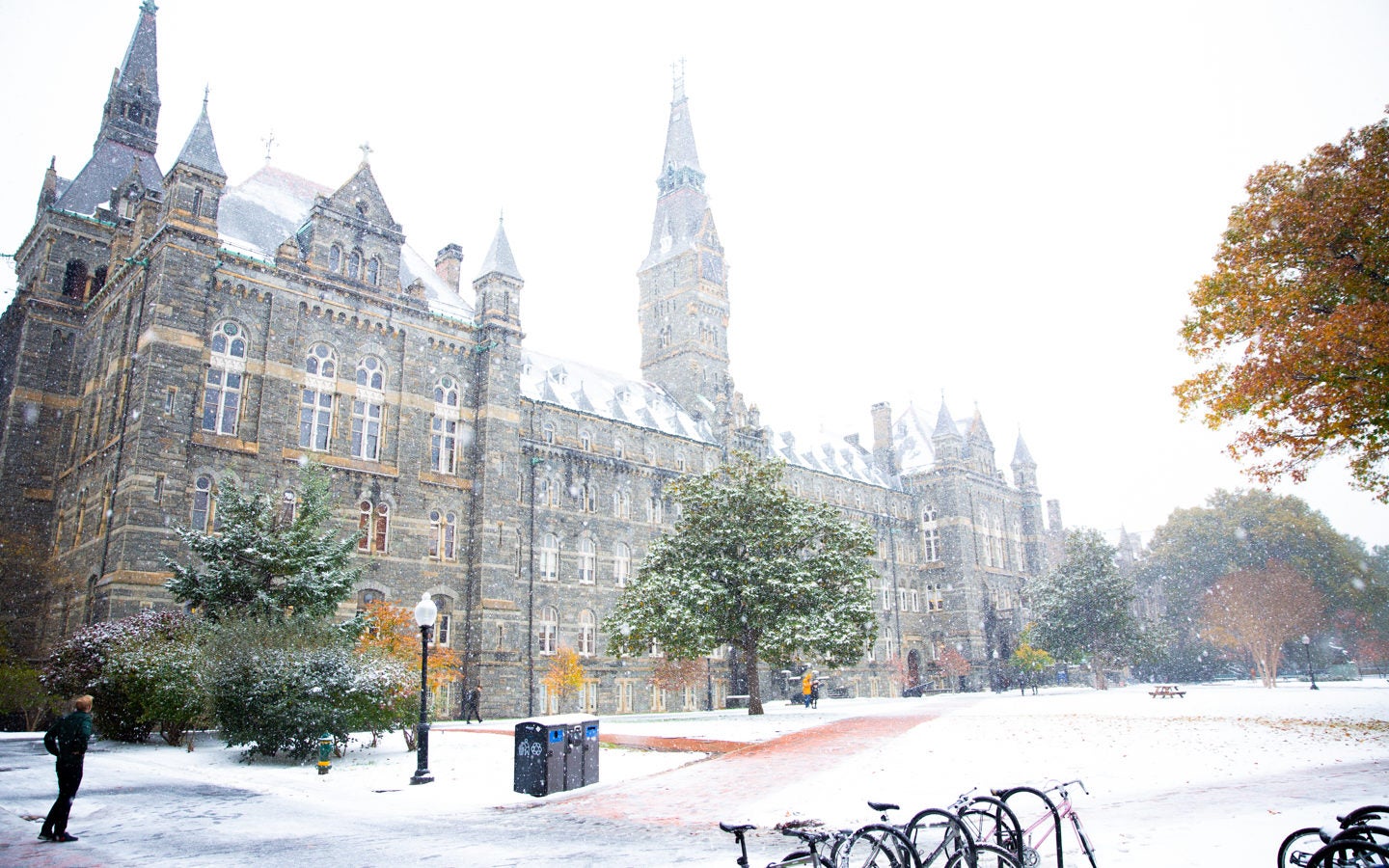 Snow falling around Healy Hall.