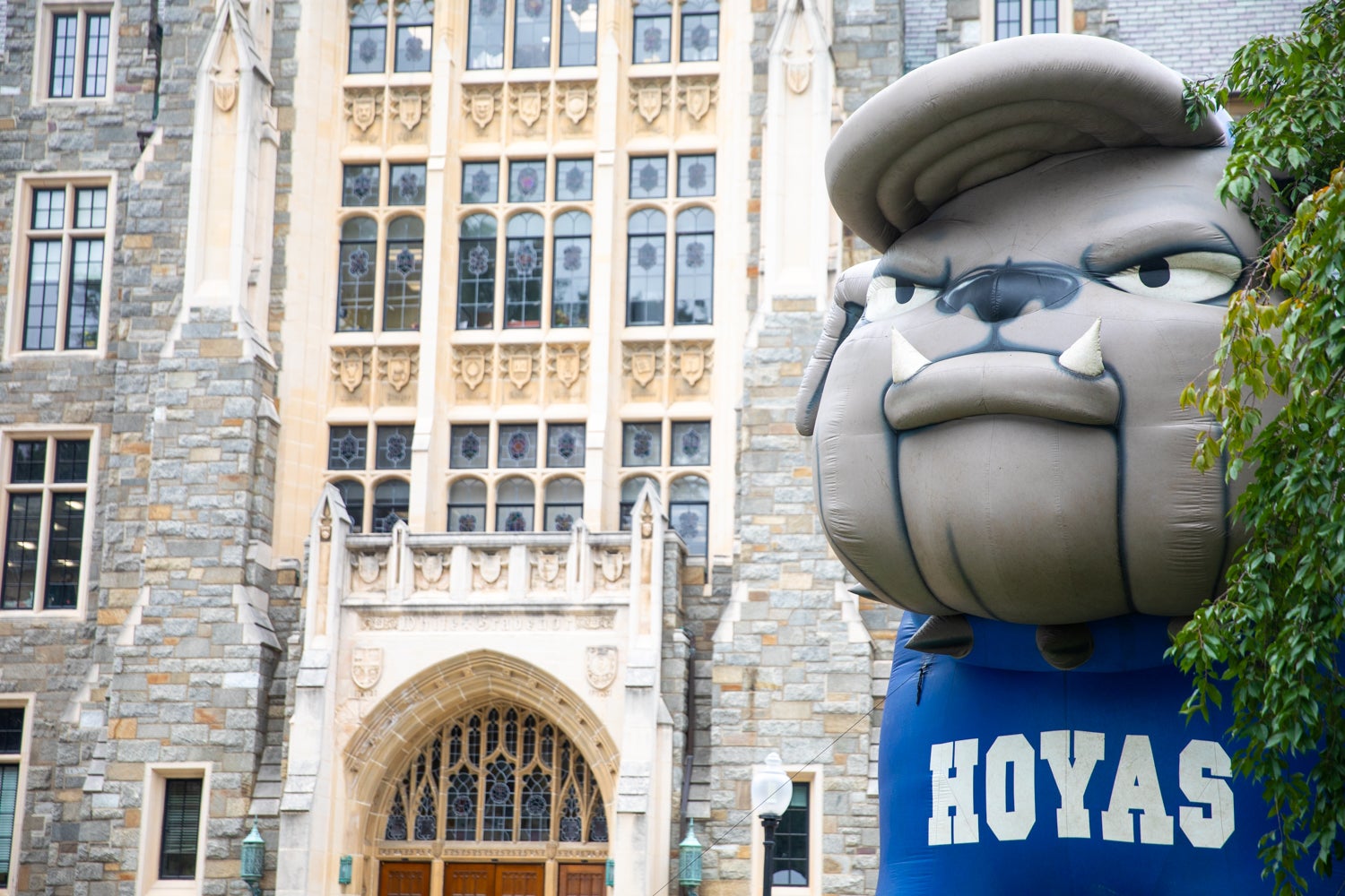 A large, inflated model of the Georgetown bulldog mascot, wearing a "Hoyas" t-shirt, sitting in front of the White Gravesnor building.