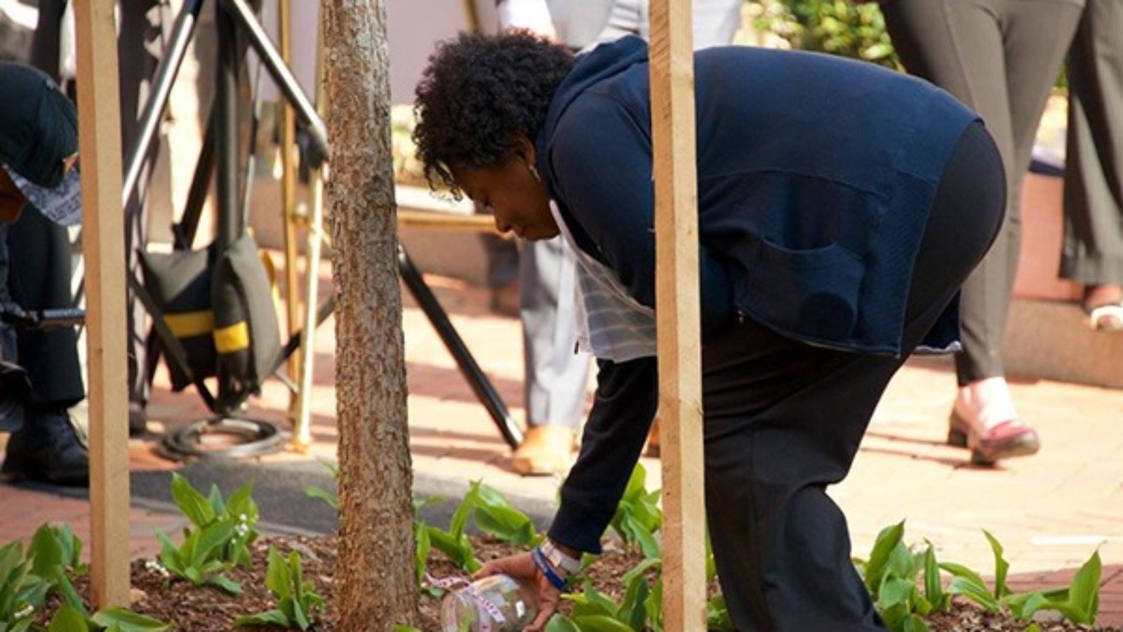 Woman bending down outside to plant a small tree