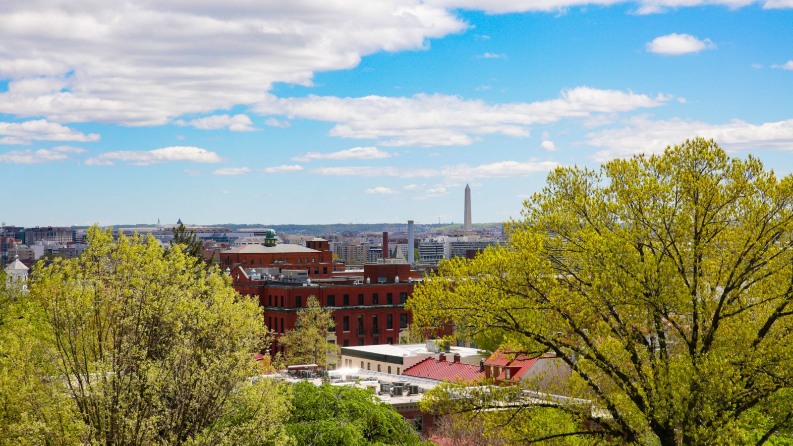 Campus rises up over the trees on a beautiful sunny day