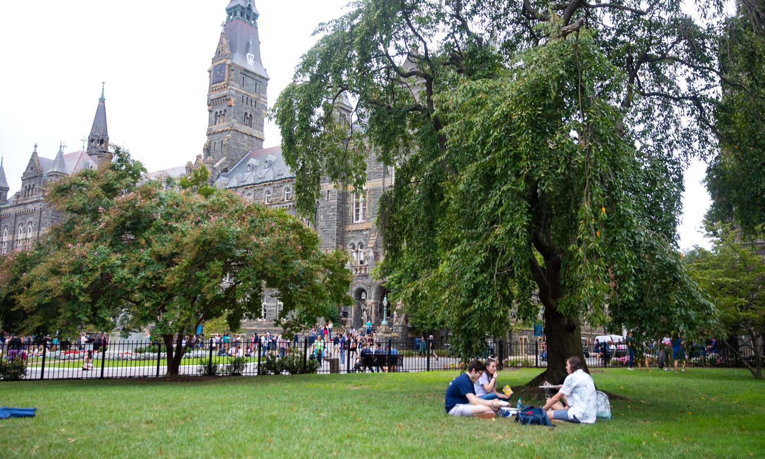 Students sit on Healy Lawn and chat on a sunny day, Healy Hall is in the background