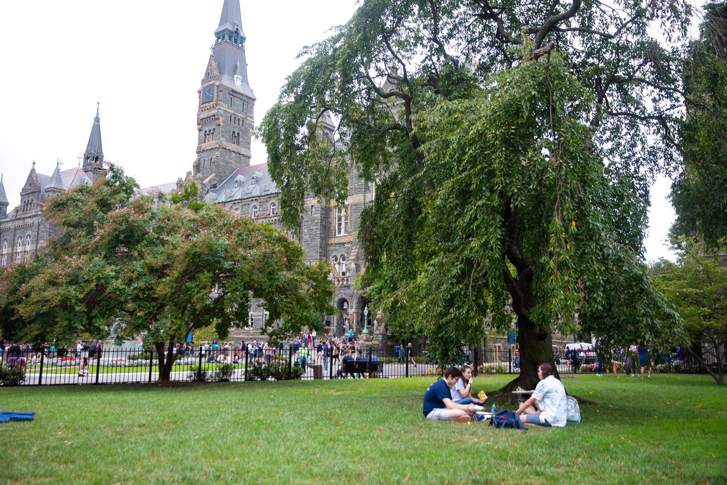 Students sit on Healy Lawn and chat on a sunny day, Healy Hall is in the background