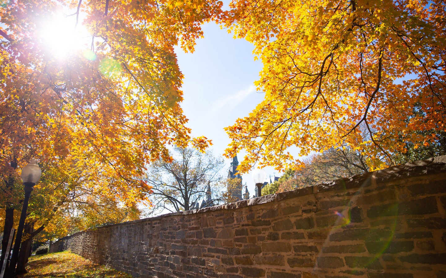 Autumn foliage frames the sky on campus