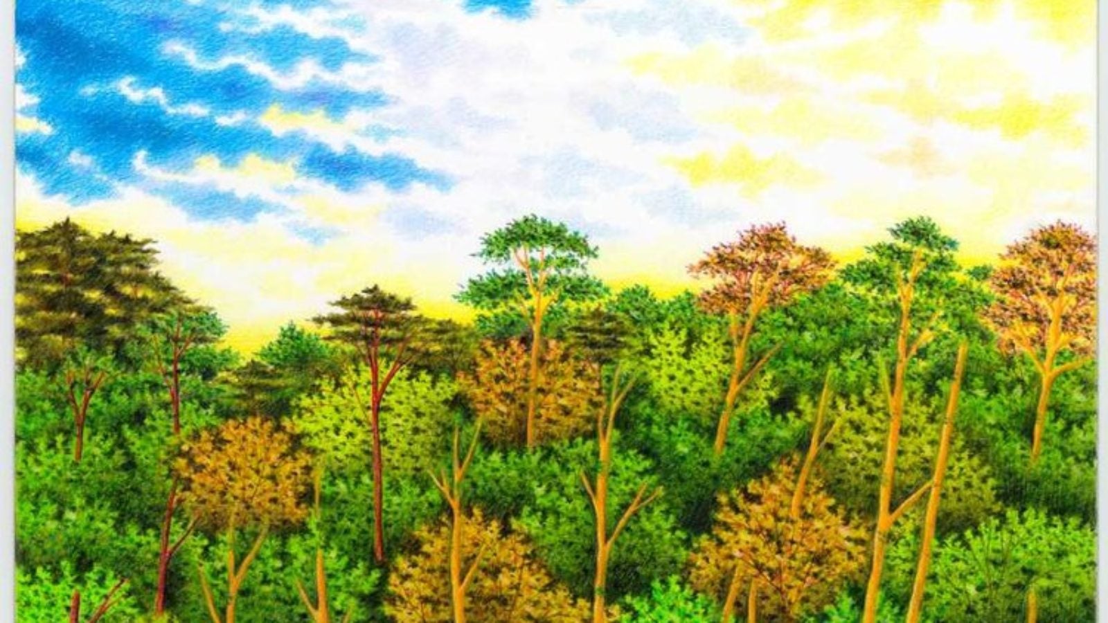 Colored pencils drawing of trees and golf course