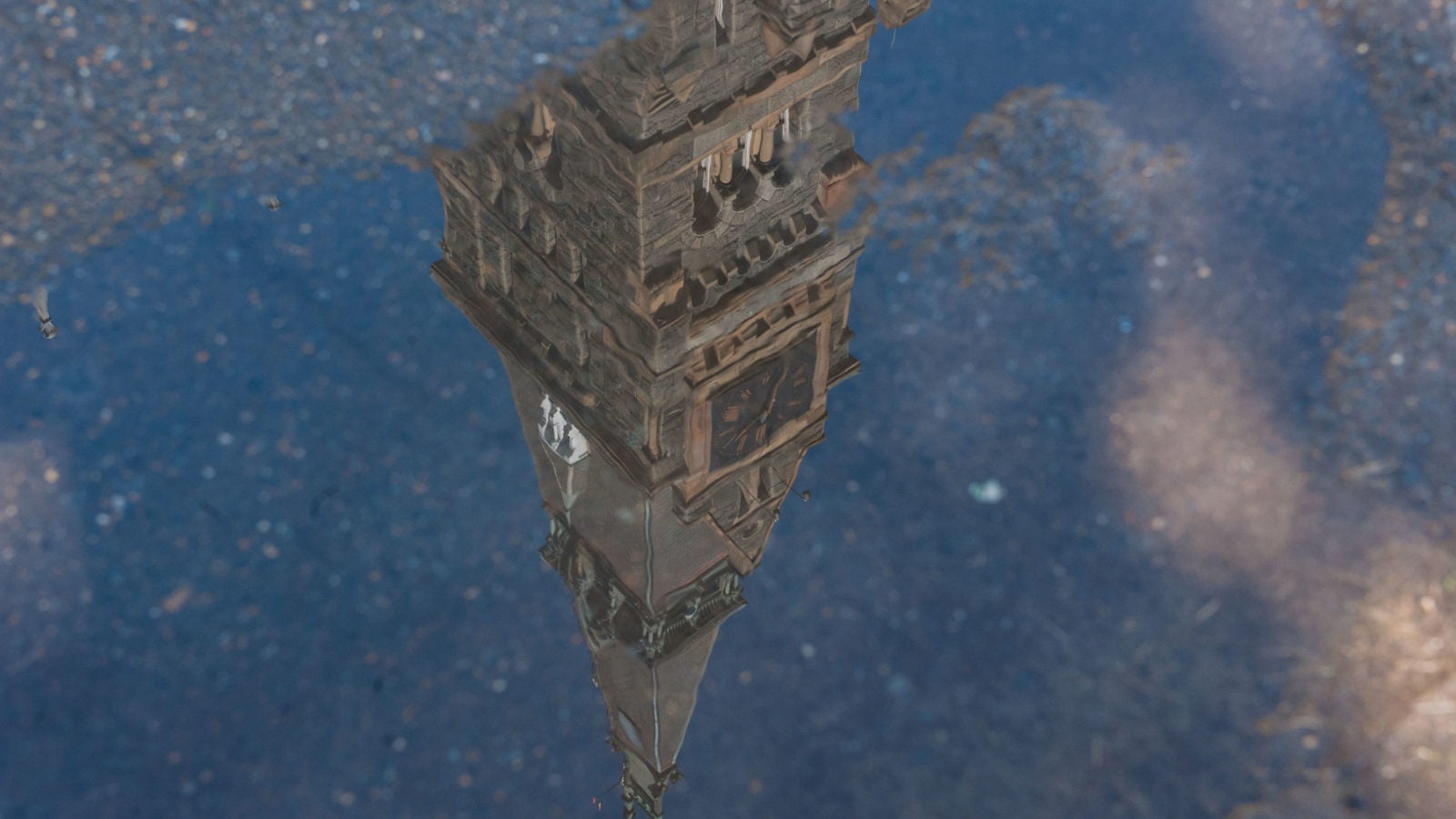 Healy Hall reflected in a puddle.