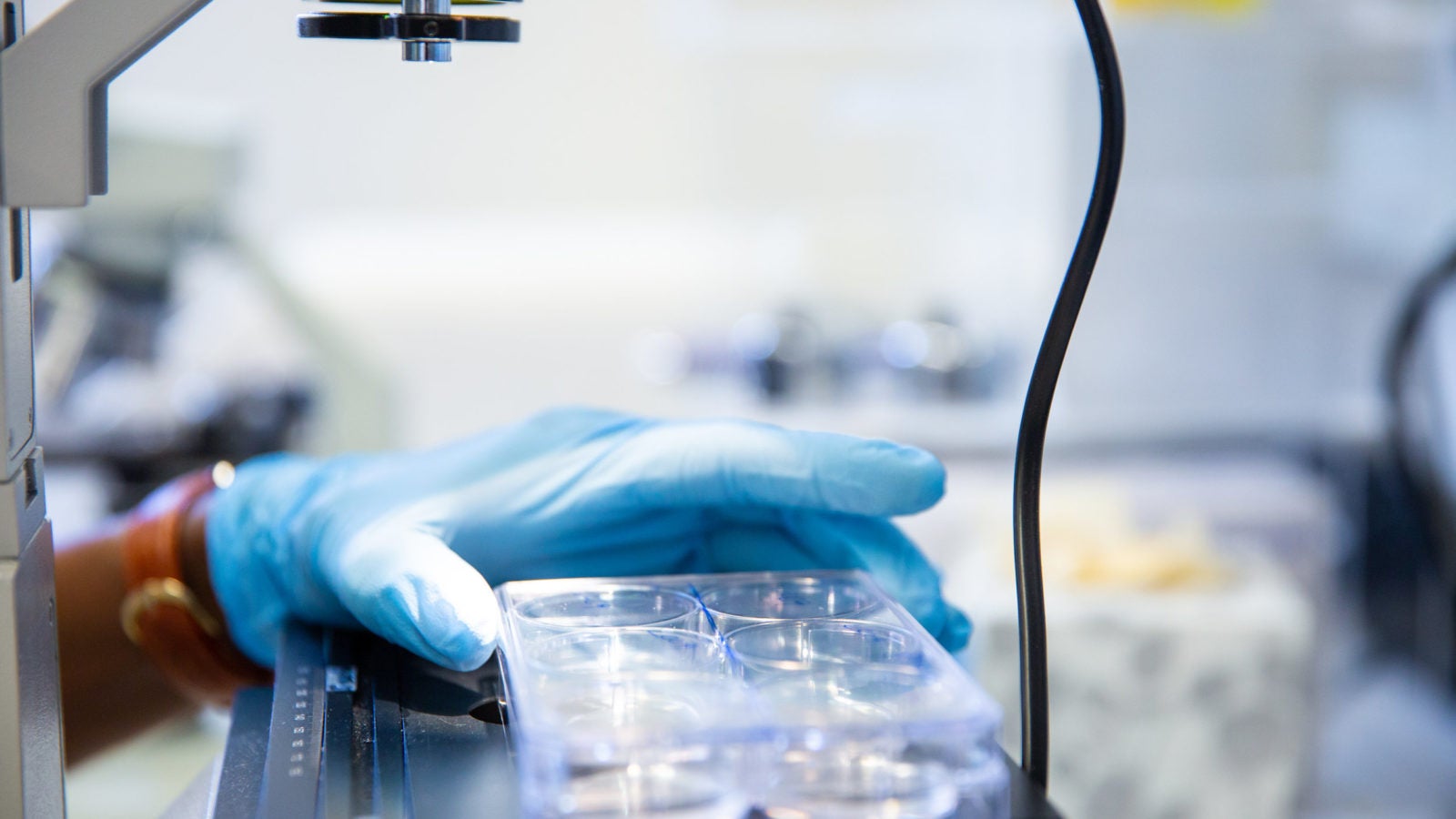 A scientist looks at test tubes.