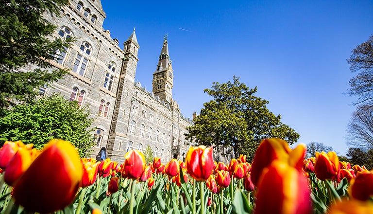 Healy Hall with tulips