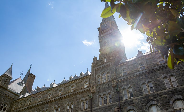 Healy Hall and a tree