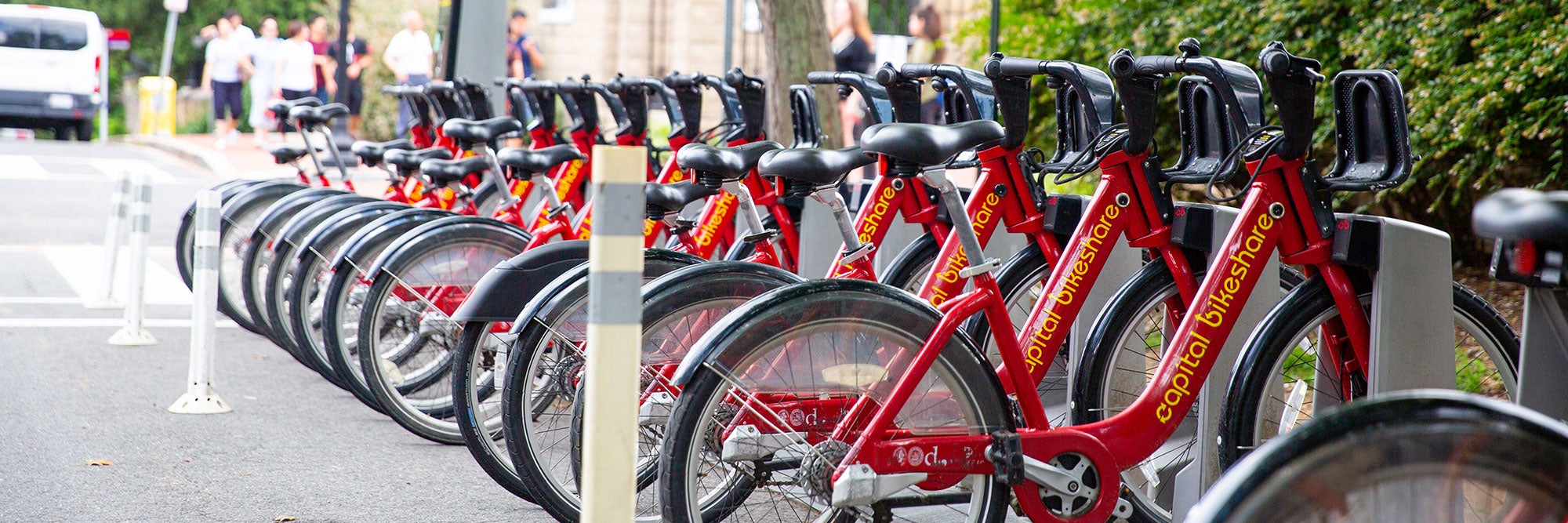 Bikes are lined up on campus