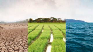 Three-way split view of dry eroded ground, green grass and ocean waves.