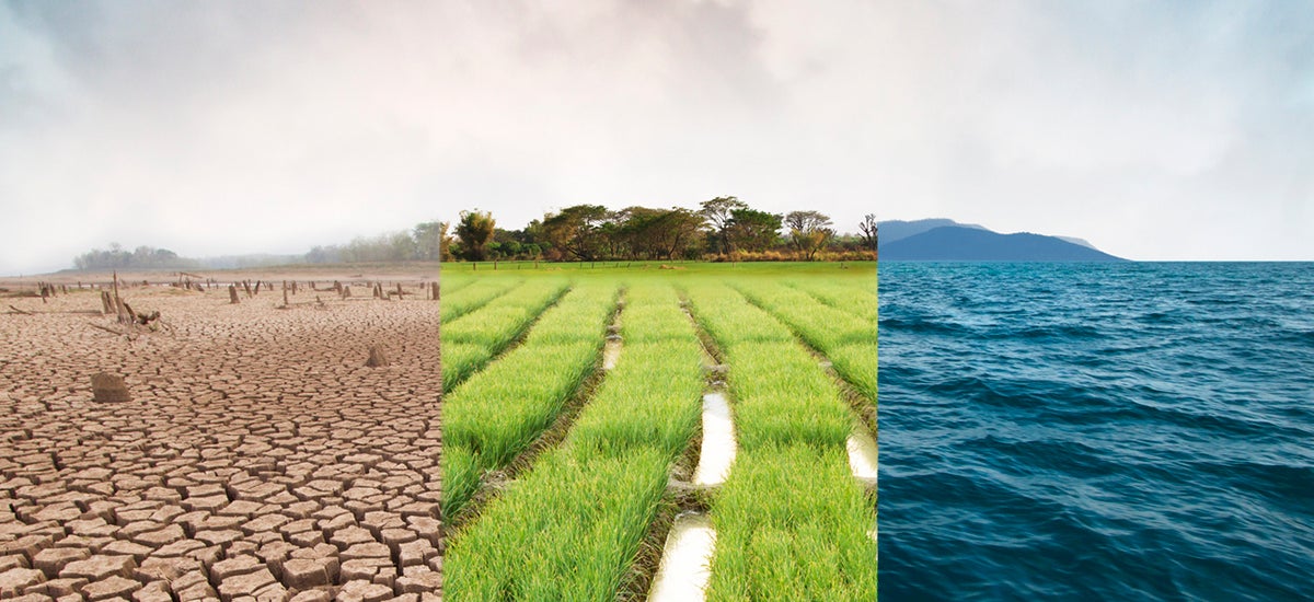 Three-way split view of dry eroded ground, green grass and ocean waves.