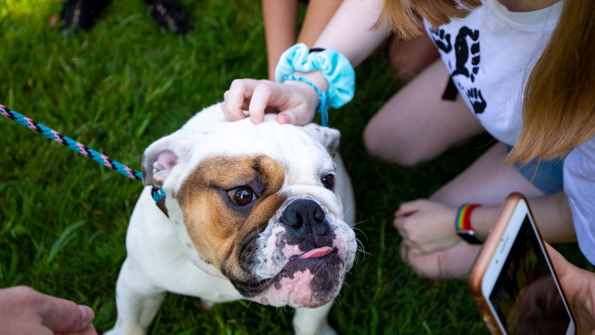Students pet Georgetown&#039;s newest Jack the Bulldog.
