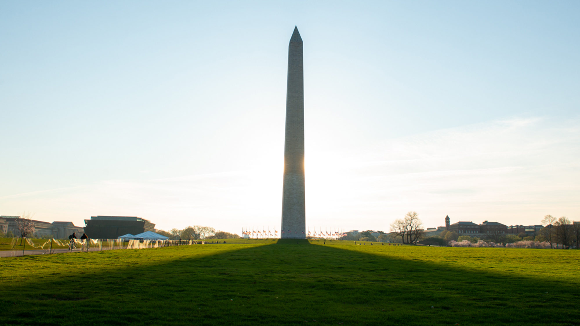 The Washington Monument stands tall surrounded by green grass on a sunny day.