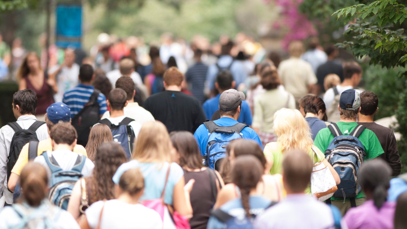 A large crowd of students walks down Copley Walk