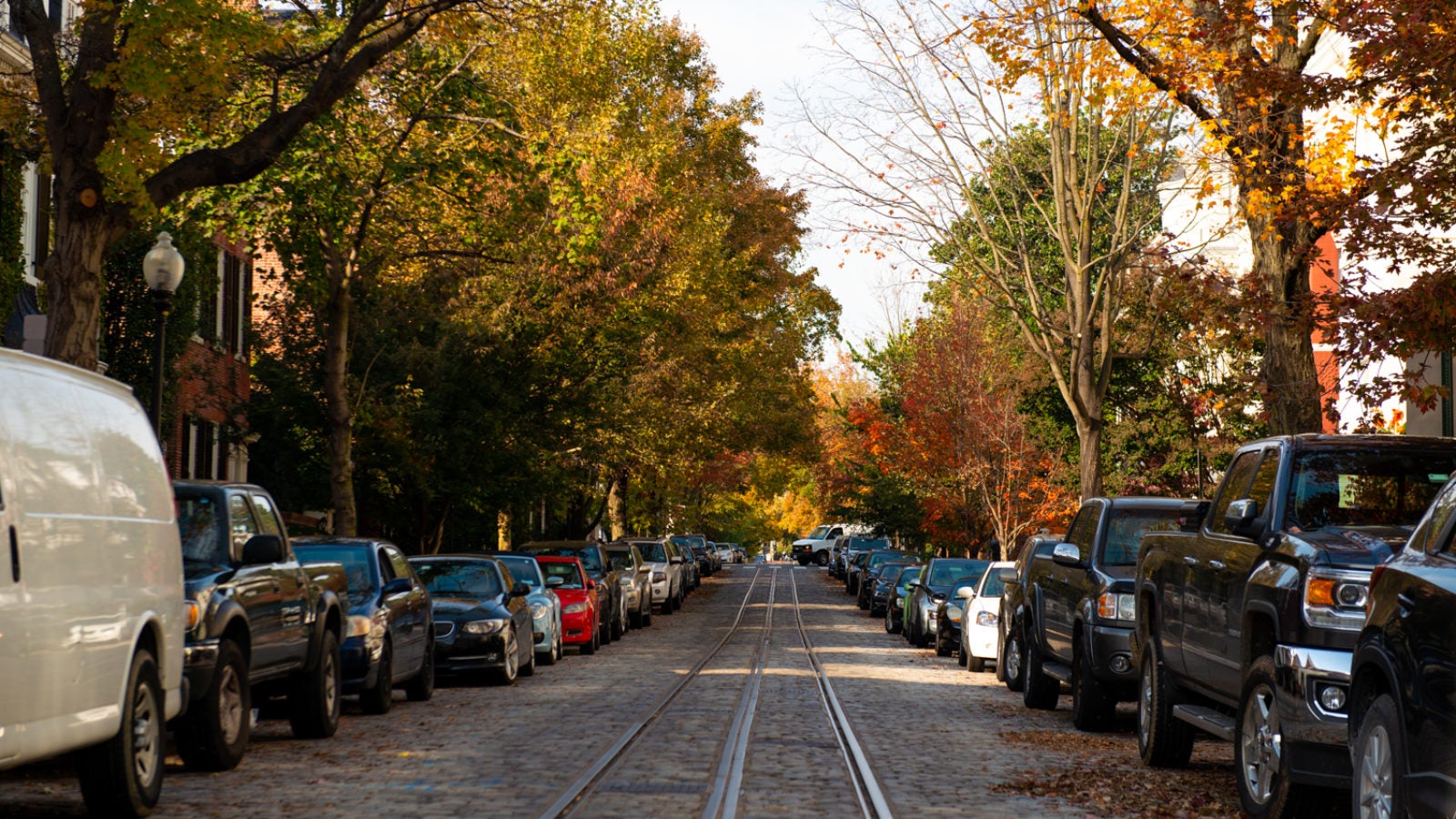 Autumn leaves color the leaves of trees that line a cobblestoned street in Georgetown with old train rails running down the middle of the street.