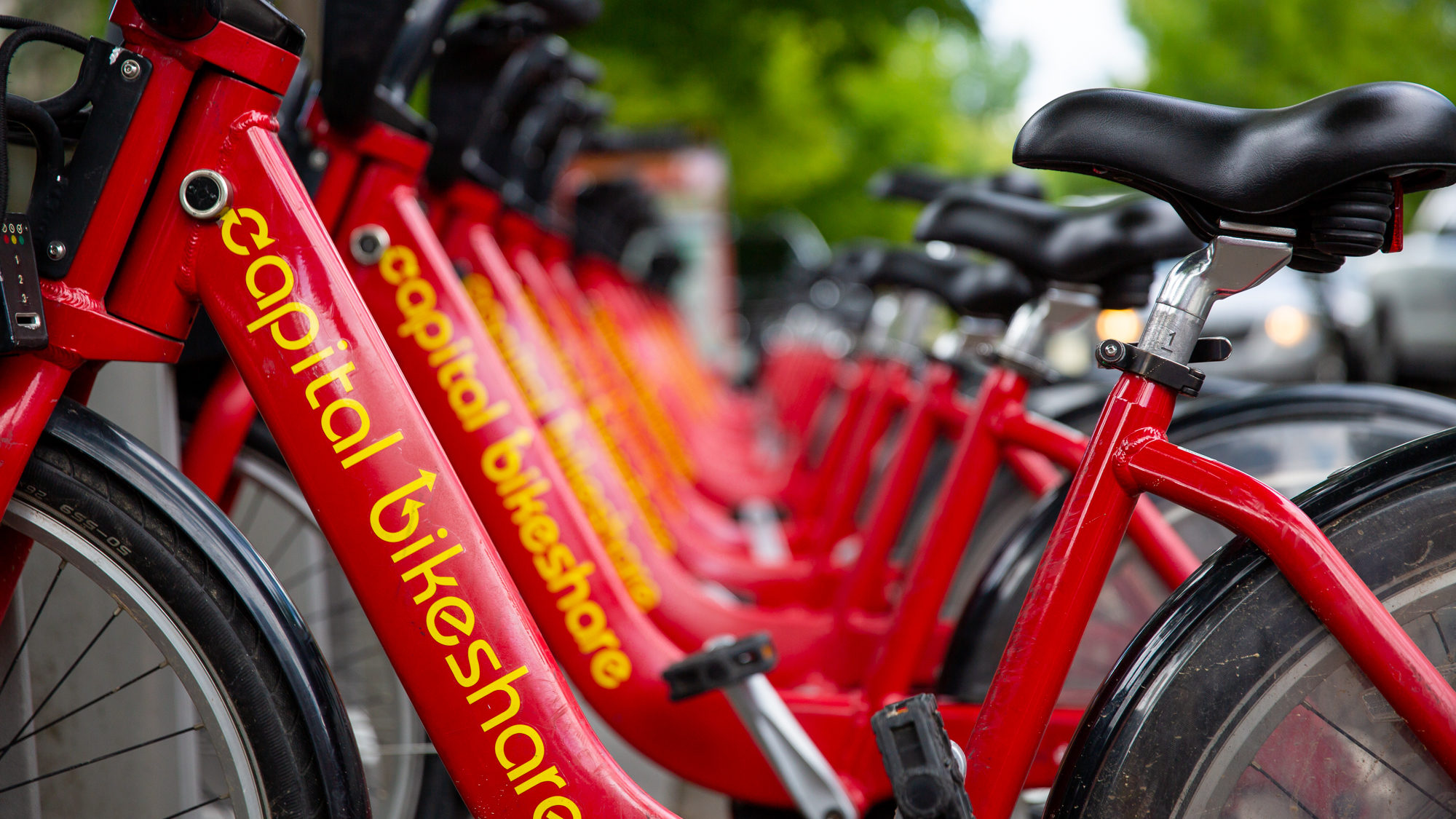 A row of red Capital Bikershare bikes stand neatly side by side.
