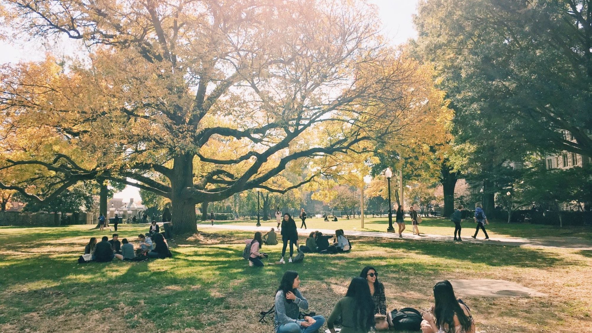 Students lounge on the lawn in autumn