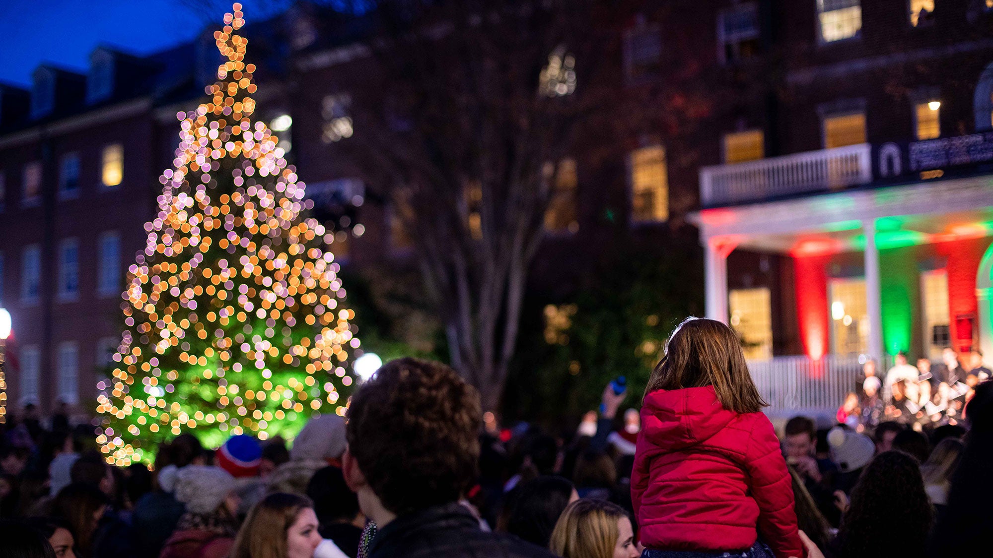 A man holds a child on his shoulders as they watch a tall Christmas tree being lit in the evening.