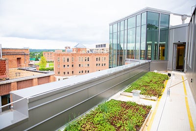 Rendering of sustainable Arrupe Hall garden