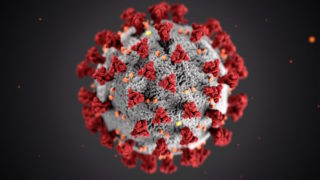 Model of the coronavirus from the CDC.