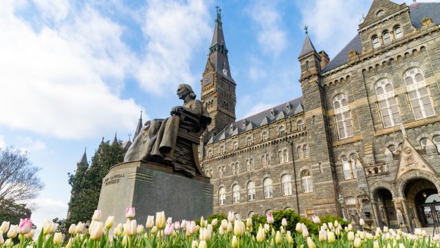 Tulips in front of John Carroll statue and Healy Hall