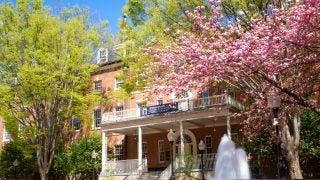 Old North with trees and cherry blossoms blooming