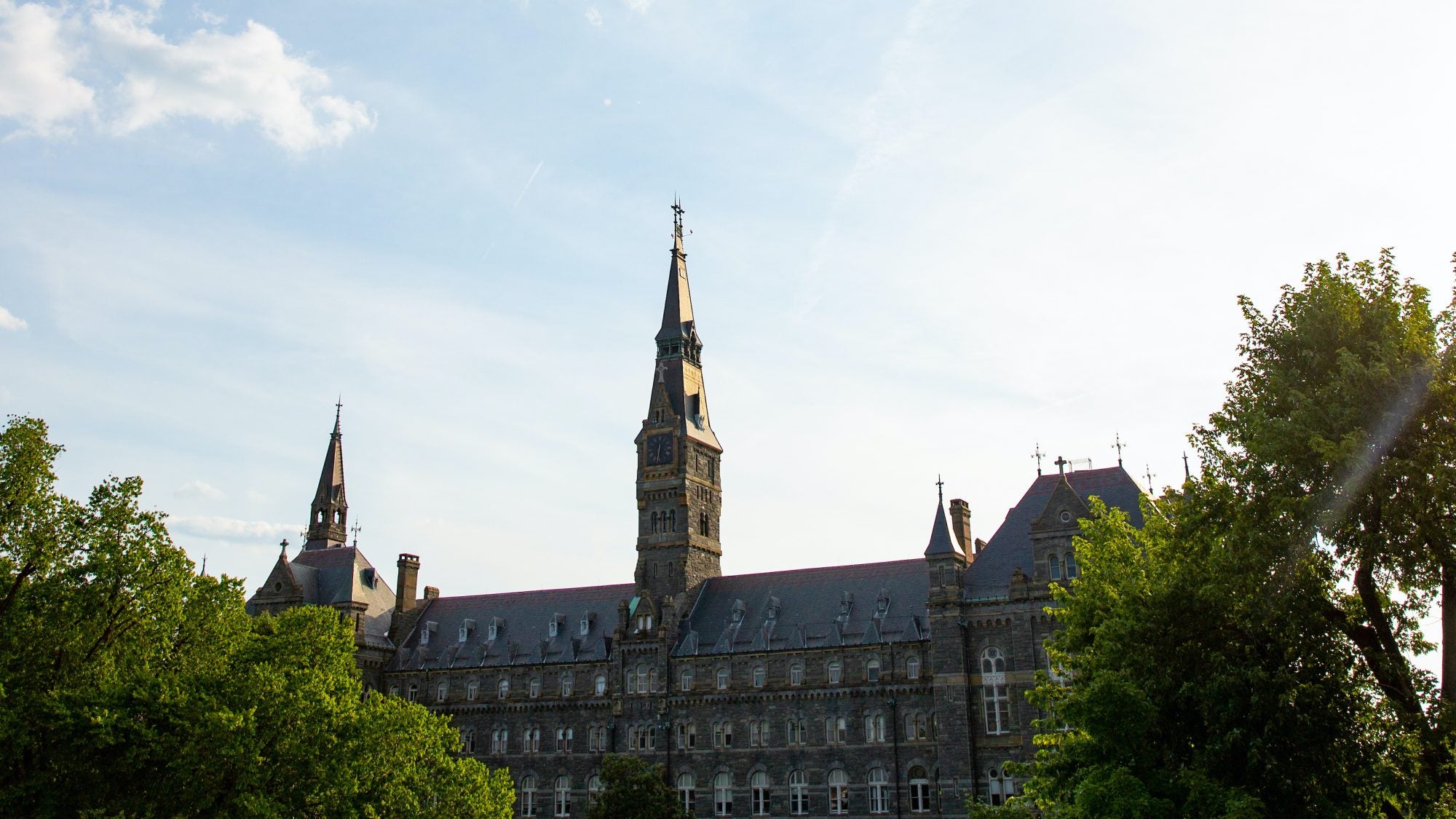 Sun shines behind a tree next to Healy Hall