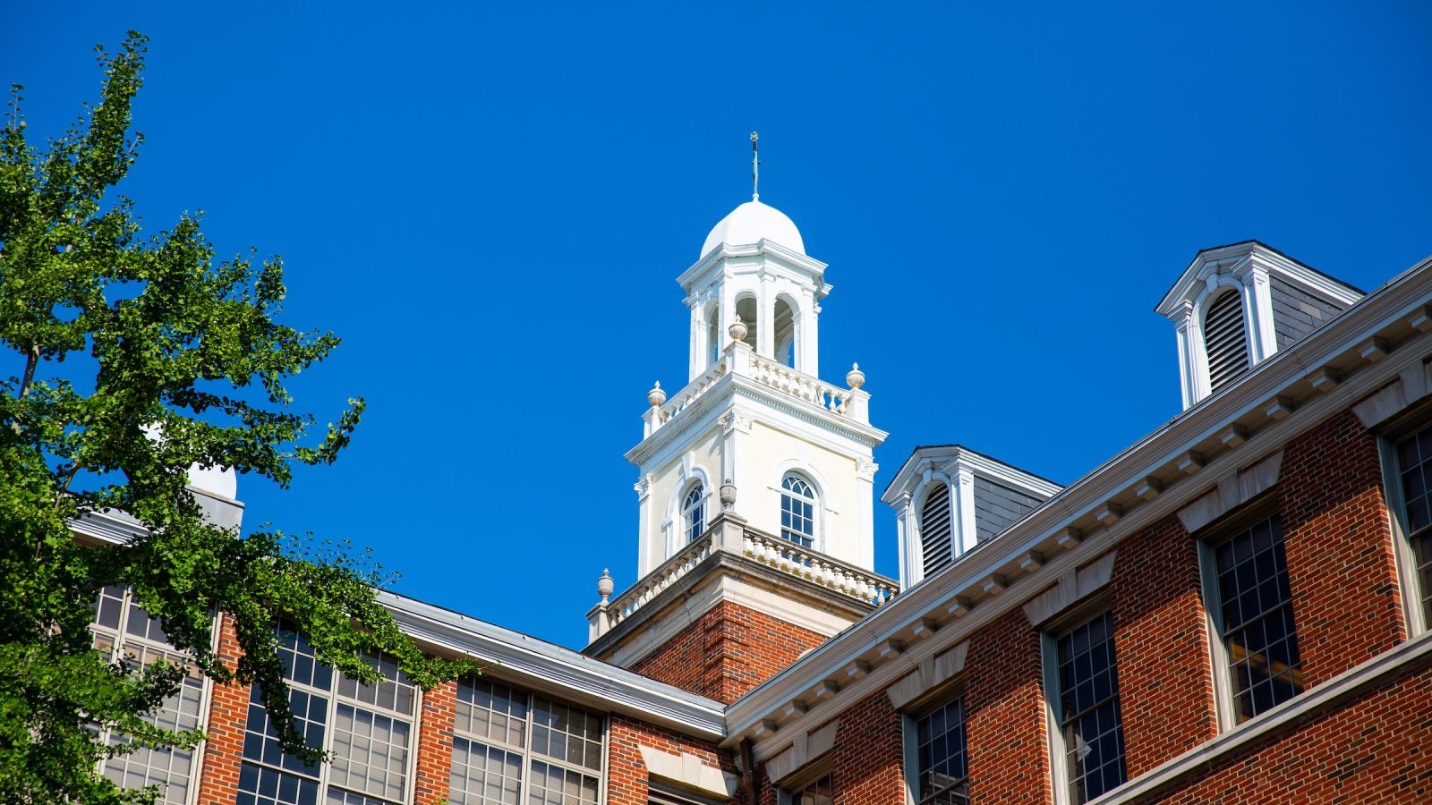 Bell tower at the top of the Med Dent building against a blue sky