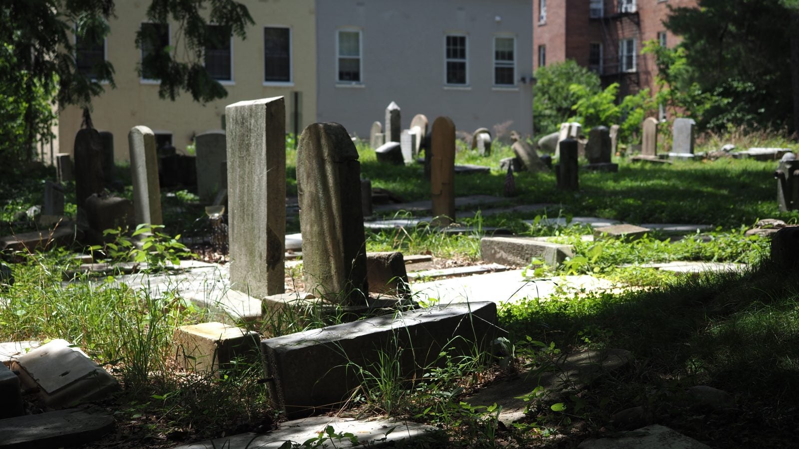 Gravestones with Georgetown neighborhood buildings in the background