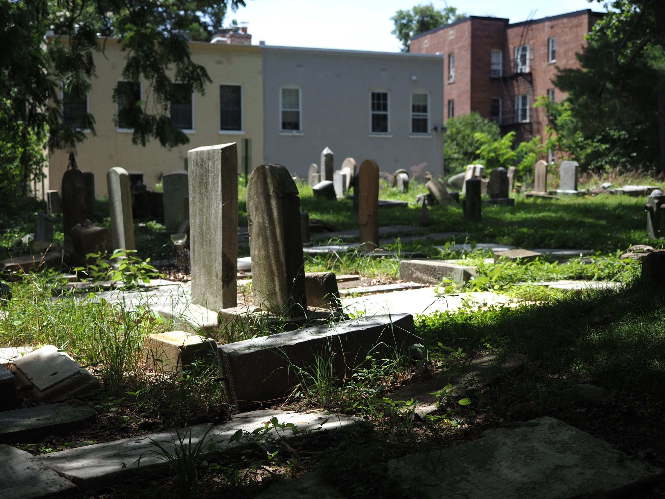 Gravestones with Georgetown neighborhood buildings in the background