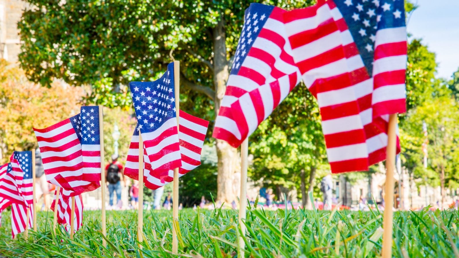 On the anniversary of 9/11 the campus is filled with American flags.