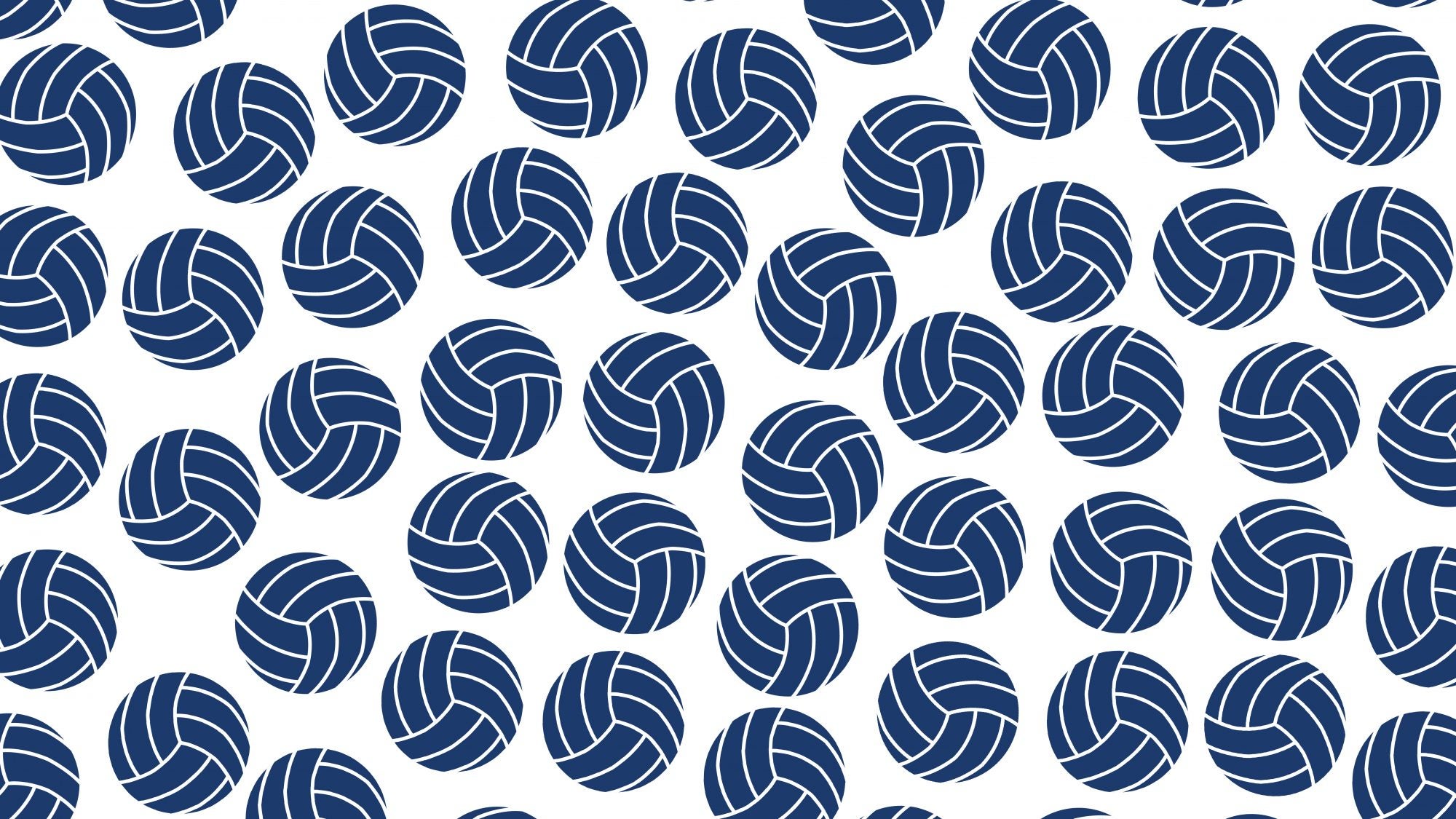 White graphic with a dark blue volleyball illustration pattern.