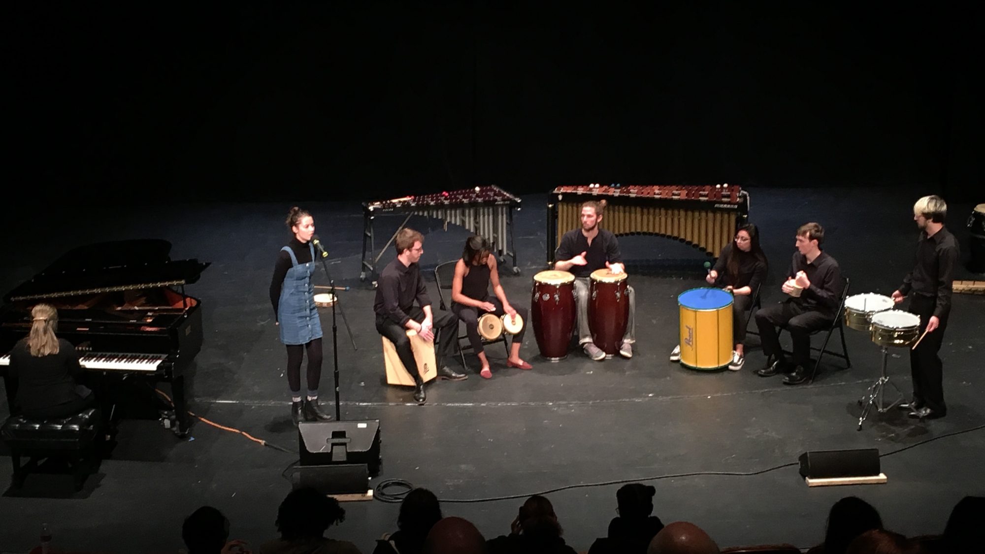 Members of the World Percussion Ensemble perform in front of a silhouetted audience in the Davis Performing Arts Center.