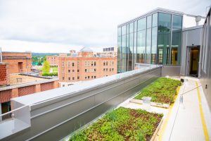 A green roof on top of Pedro Arrupe, SJ Hall