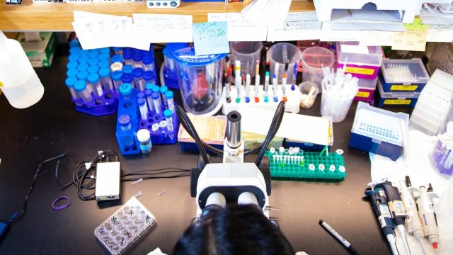 Test tubes and lab equipment on shelves while a person looks into a microscope