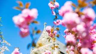 Building with a cross on the top behind pink flowers