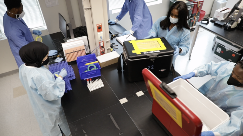 Lab technicians at Georgetown&#039;s COVID-19 test lab intake tests.