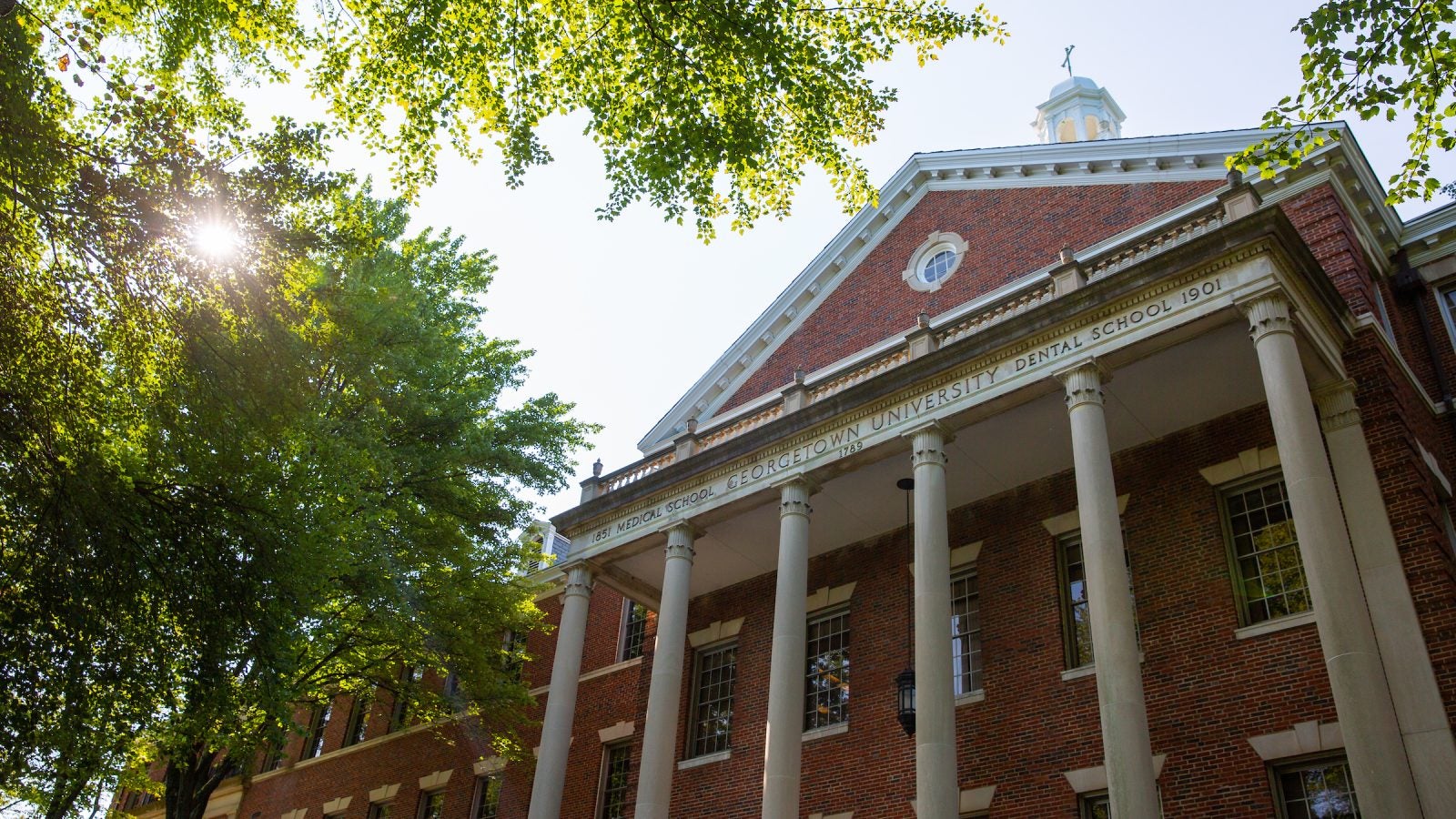 School of Medicine MedDent building with sun shining behind trees