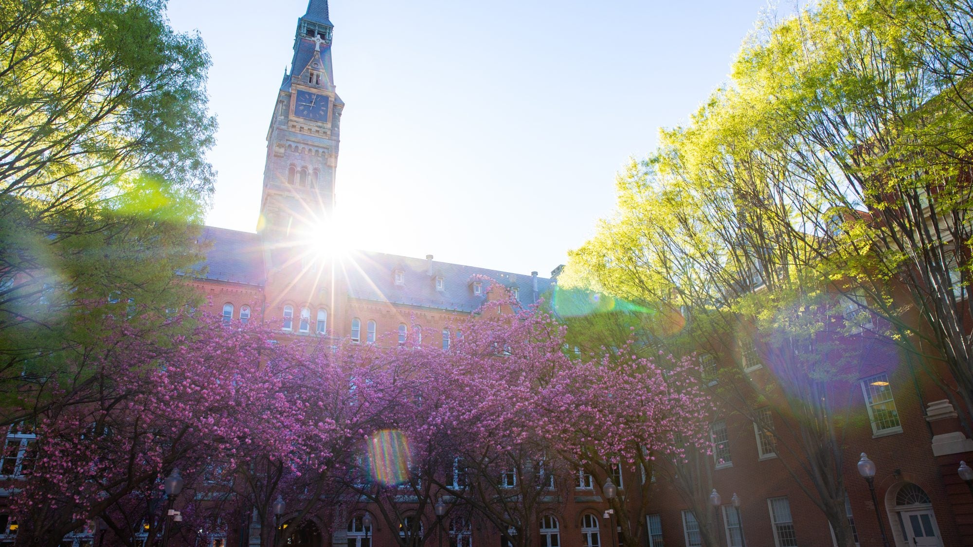 An image of Healy Hall at sunrise.