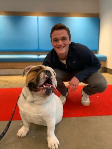 Jake and Jack the Bulldog