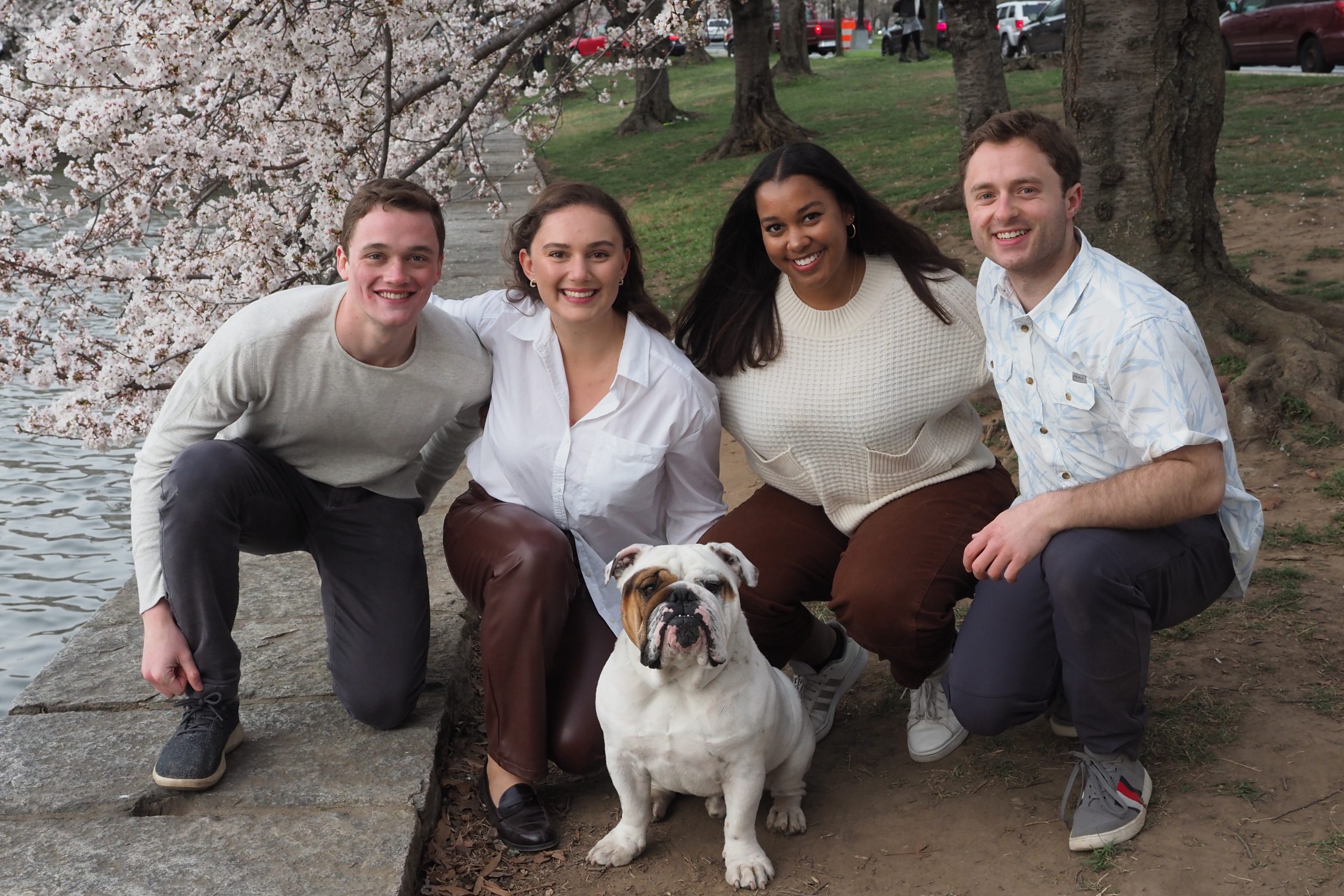 Four students pose in front of cherry blossoms behind Jack the Bulldog