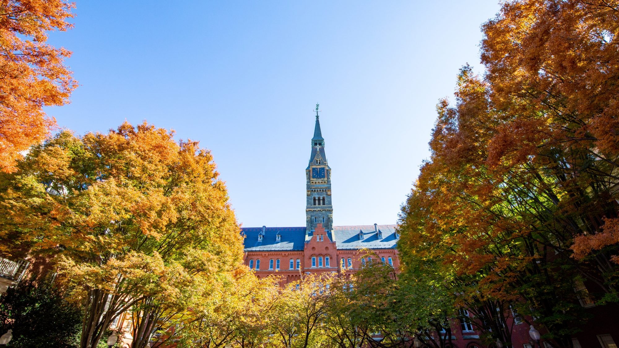 An image of fall leaves on trees surrounding a tower with a bright blue sky in the background