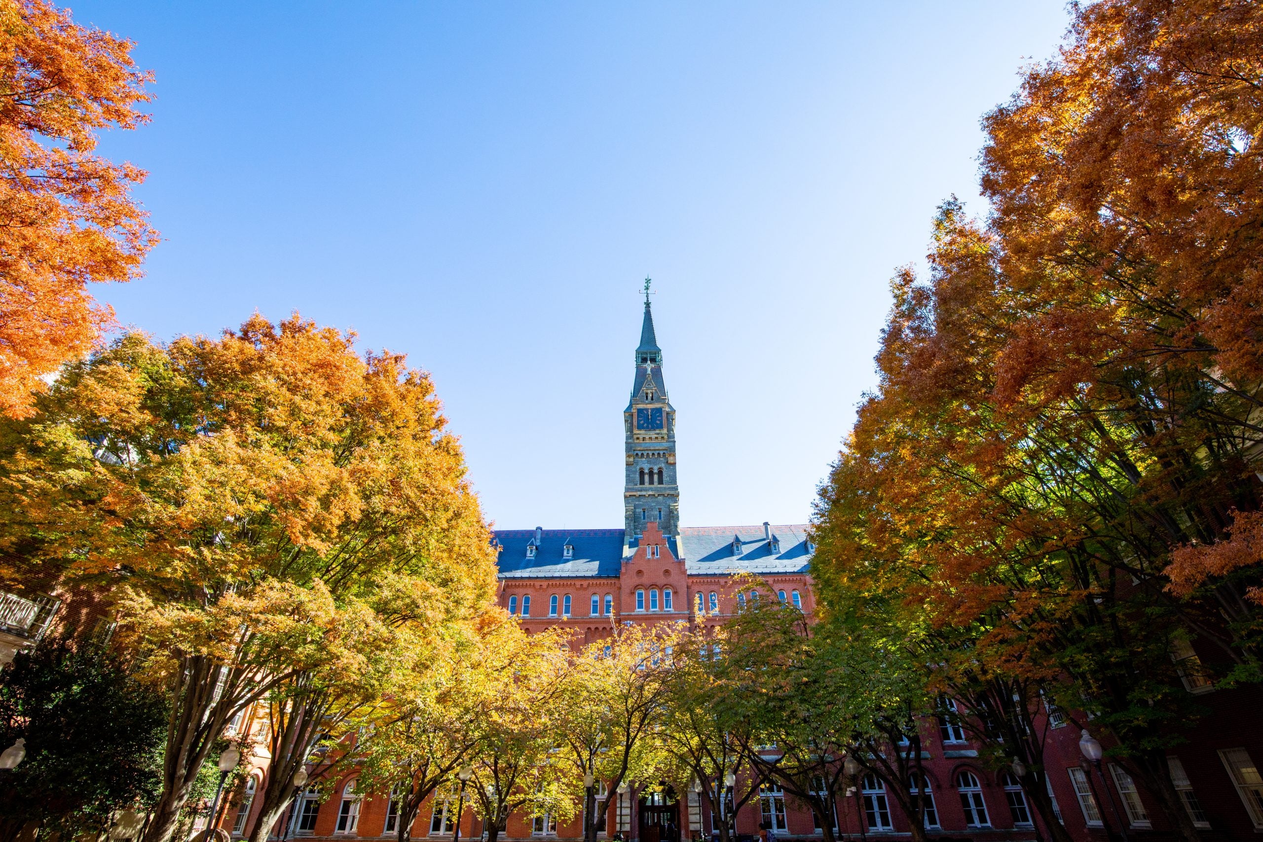 An image of fall leaves on trees surrounding a tower with a bright blue sky in the background