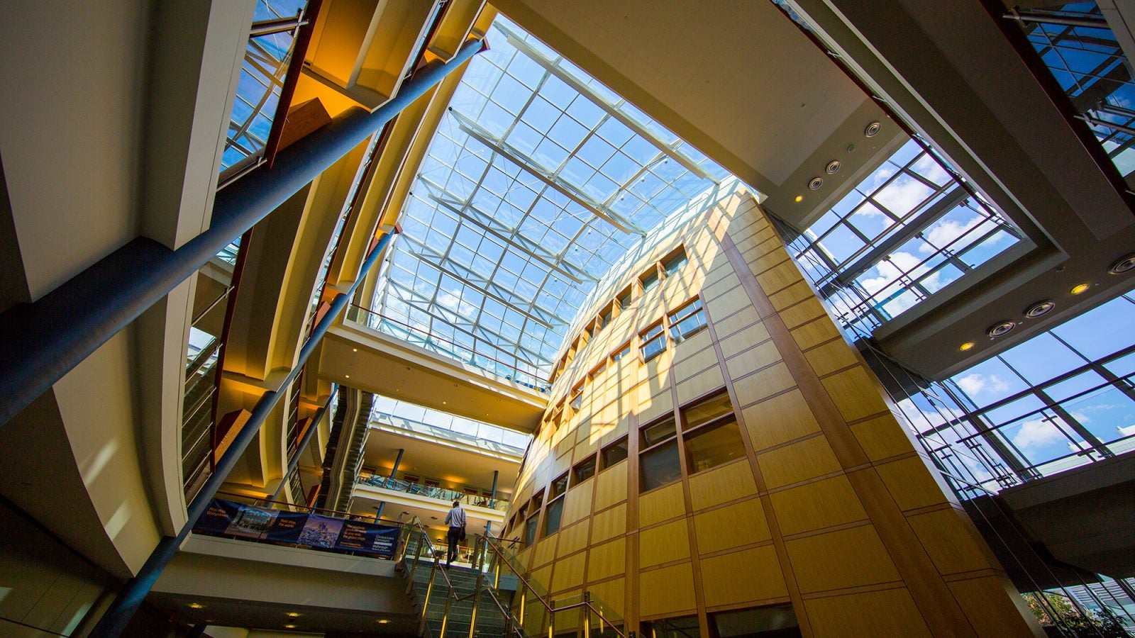 An image of the light-filled windows on the ceiling of the Rafik B. Hariri Building, where the School of Business is housed.