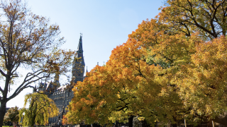 The Healy Hall clocktower seen through trees on campus. The leaves on the trees are orange, slightly green and yellow.