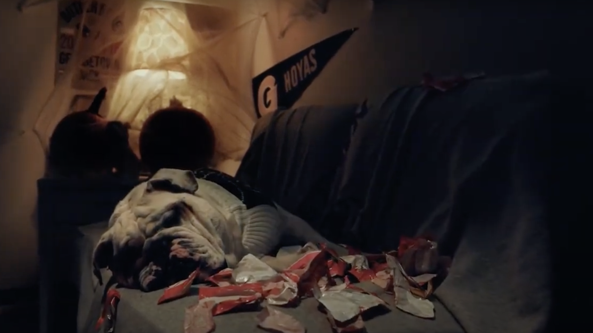 Jack the Bulldog laying on a couch surrounded by used candy wrappers
