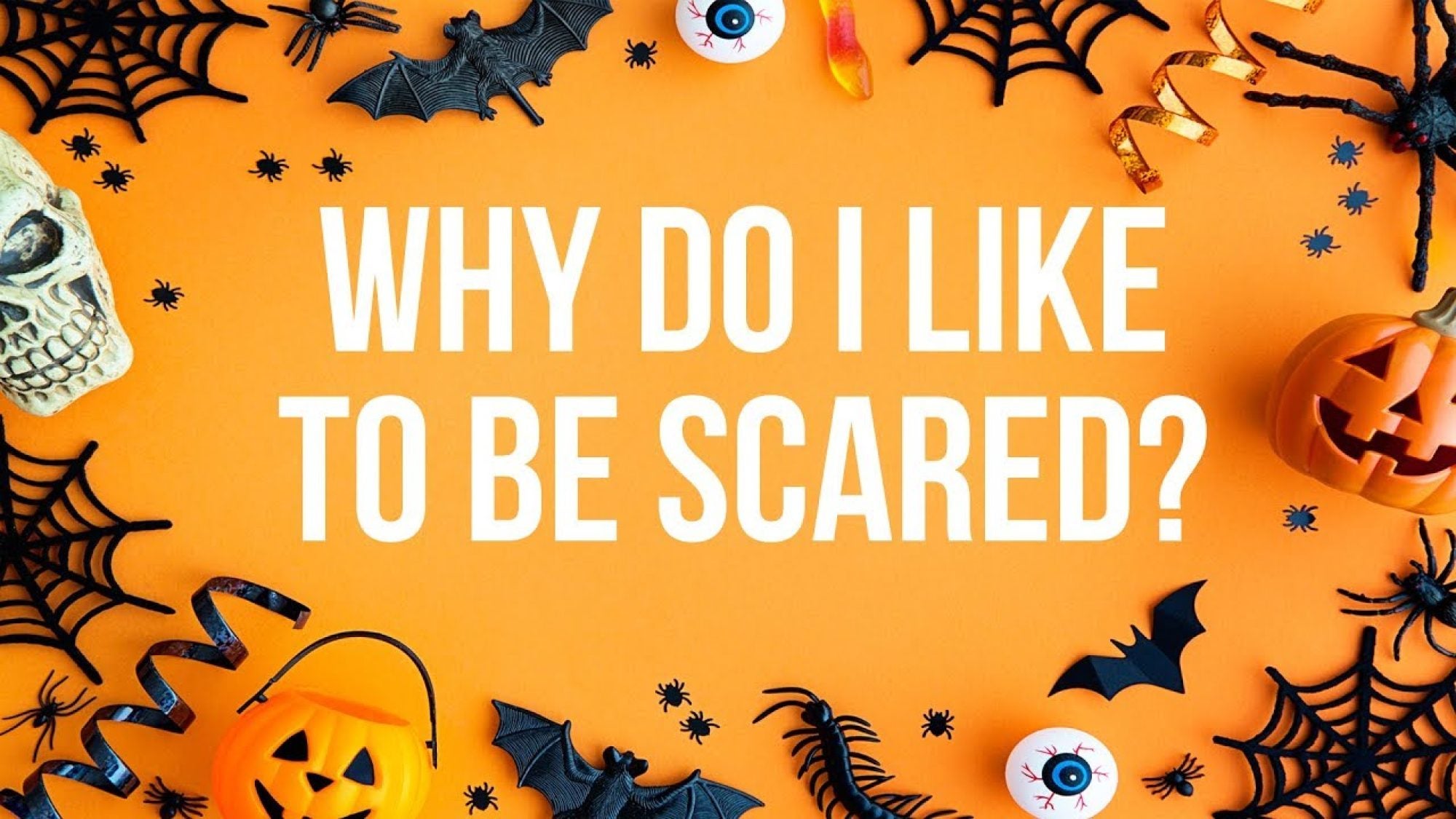 An orange graphic that reads &quot;Why do I like being scared?&quot; Around the edge of the graphic are black bats and black spiderwebs